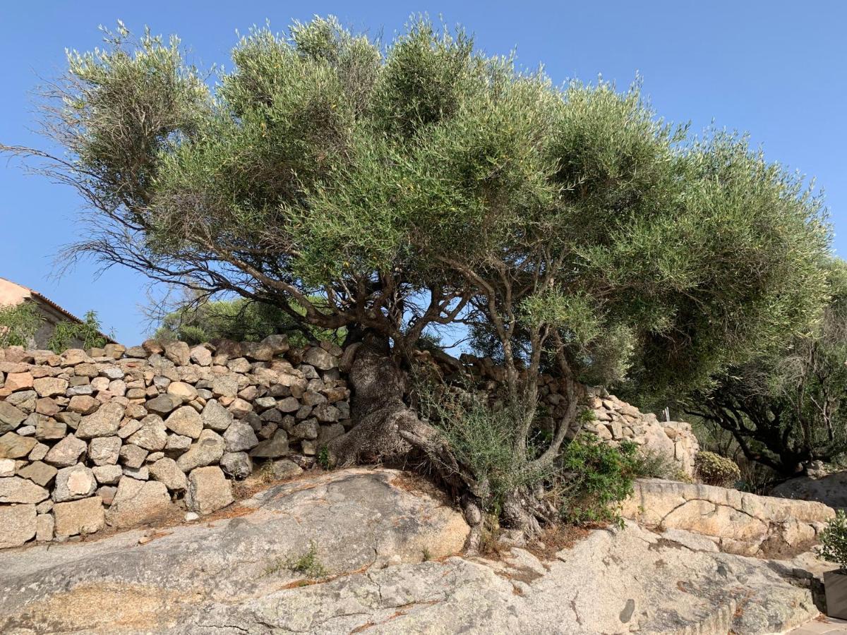 Stazzu Nuraghe Mannucciu Guest House Рена Майоре Екстериор снимка