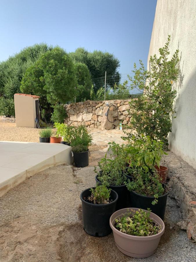 Stazzu Nuraghe Mannucciu Guest House Рена Майоре Екстериор снимка