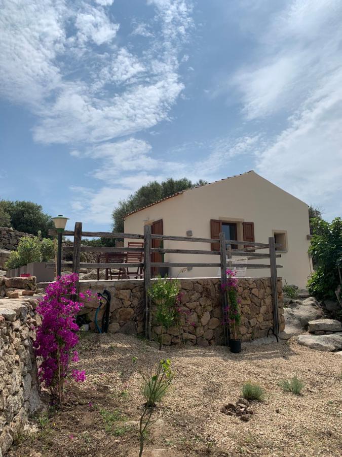 Stazzu Nuraghe Mannucciu Guest House Рена Майоре Екстериор снимка