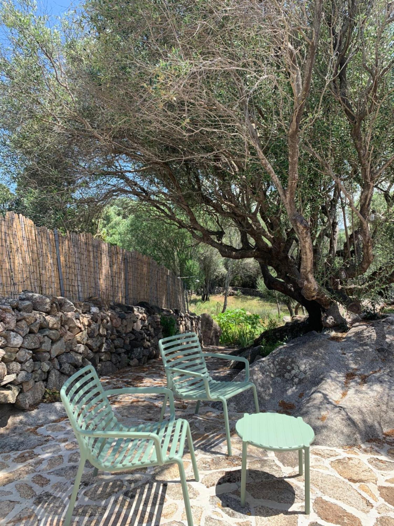 Stazzu Nuraghe Mannucciu Guest House Рена Майоре Екстериор снимка